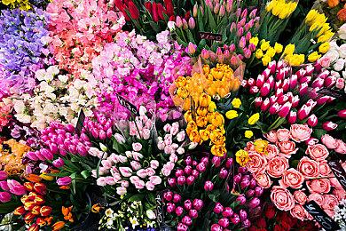 新一期日本玩家票选游戏期待榜 《塞尔达传说：王国之泪》登顶