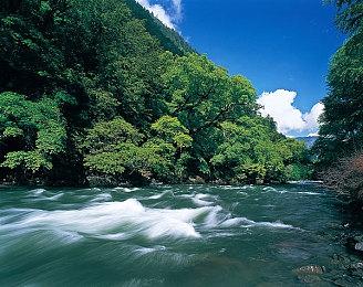 《幽灵线：东京》大型更新“蜘蛛丝”现已上线