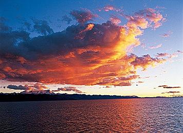 《歧路旅人：大陆的霸者》国际服运营商宣布变更为网易 2025年1月生效